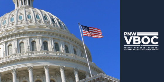 Government Contracting Series by PNW VBOC represented by the Capital Building.